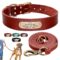 Personalized Collar With Name for Dog, Phone and Address