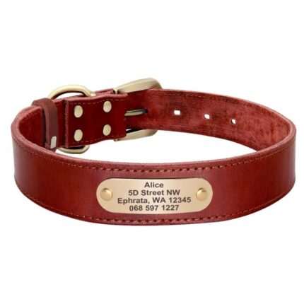 personalised puppy collar
